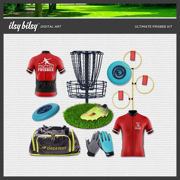 The Frisbee Equipment