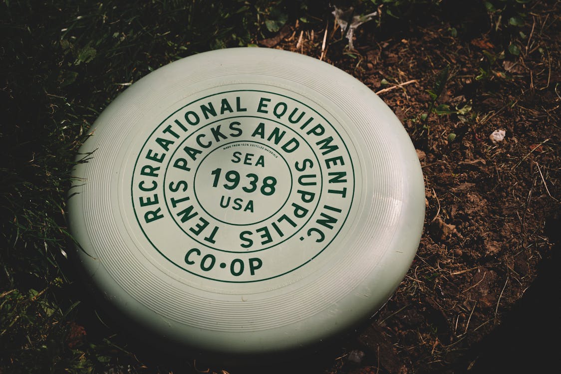 Frisbee Flying Disc · Free Stock Photo