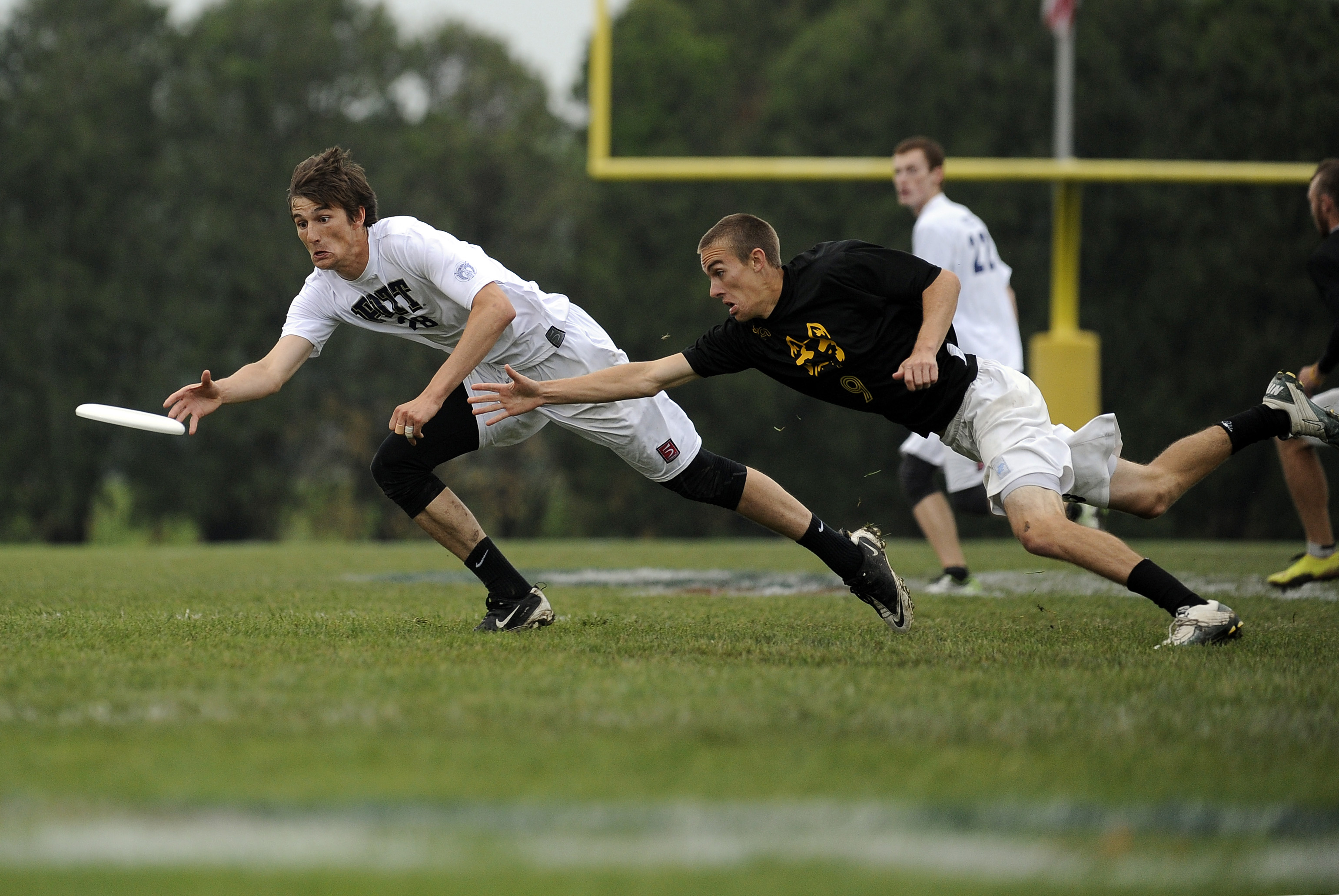 2026 Ultimate Frisbee Rules Update: What Changed in WFTDA & UFIF Regulations