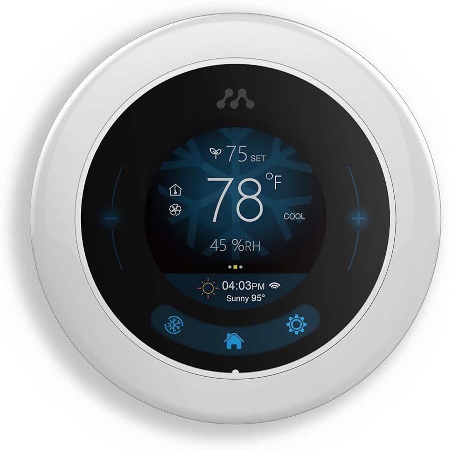 Momentum Smart Disc