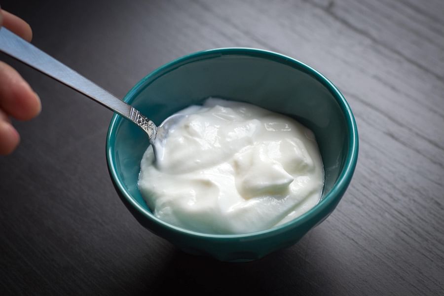 bowl of plain yogurt