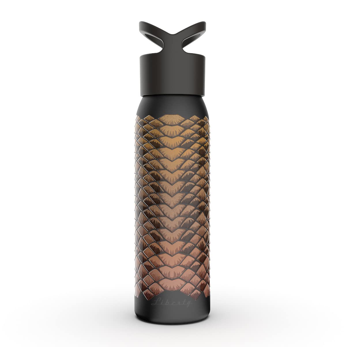 reusable BPA-free water bottle