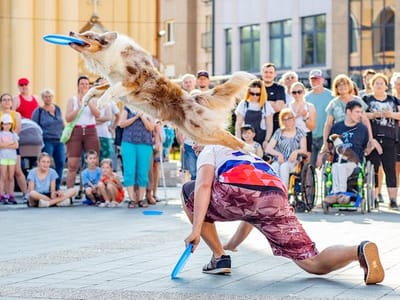 Mastering the Art of the Ultimate Frisbee Pick-Up: Techniques and Tips for Success