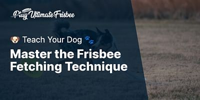 Master the Frisbee Fetching Technique - 🐶 Teach Your Dog 🐾