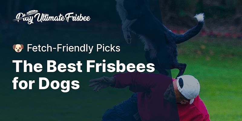 The Best Frisbees for Dogs - 🐶 Fetch-Friendly Picks