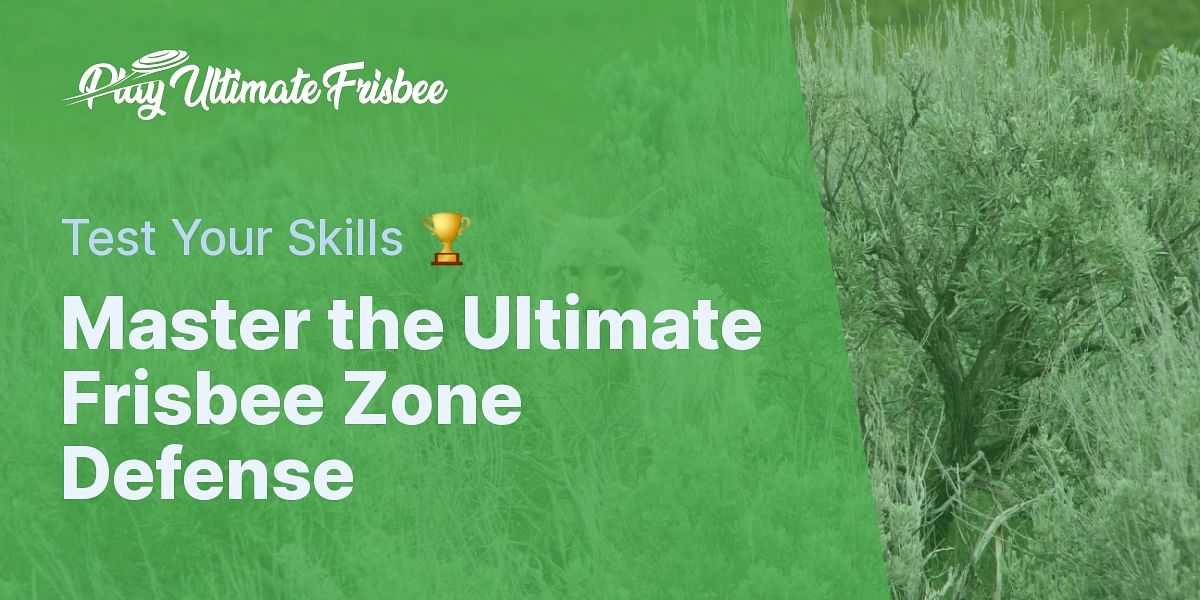 Understanding Zone Defense in Ultimate Frisbee Quiz Play Ultimate Frisbee
