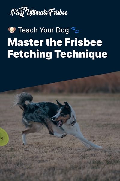 Master the Frisbee Fetching Technique - 🐶 Teach Your Dog 🐾