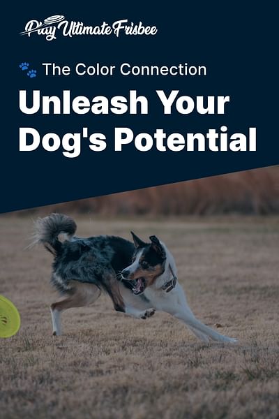 Unleash Your Dog's Potential - 🐾 The Color Connection